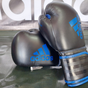 Fight Gloves Black and Blue